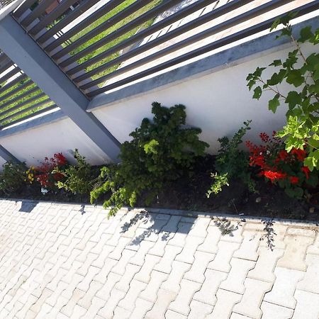 Apartament Saguna Sînnicolau Mare 外观 照片