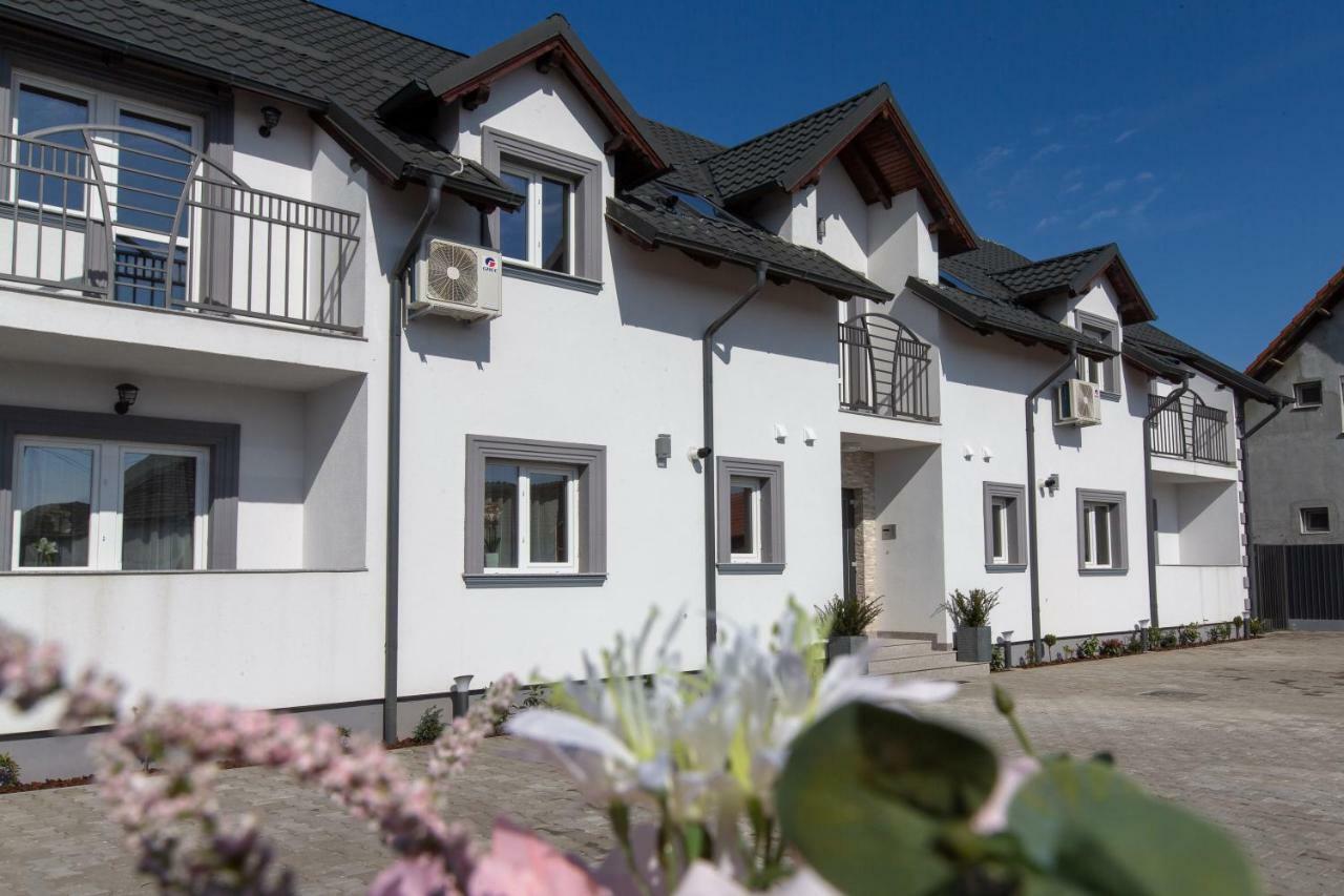 Apartament Saguna Sînnicolau Mare 外观 照片