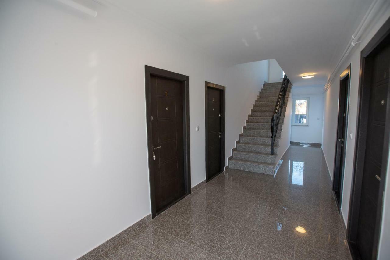 Apartament Saguna Sînnicolau Mare 外观 照片