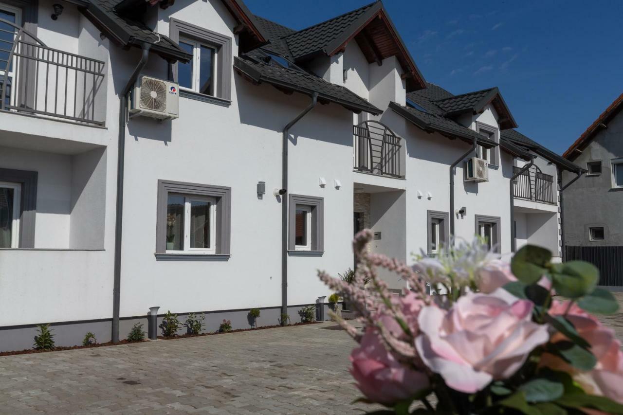 Apartament Saguna Sînnicolau Mare 外观 照片