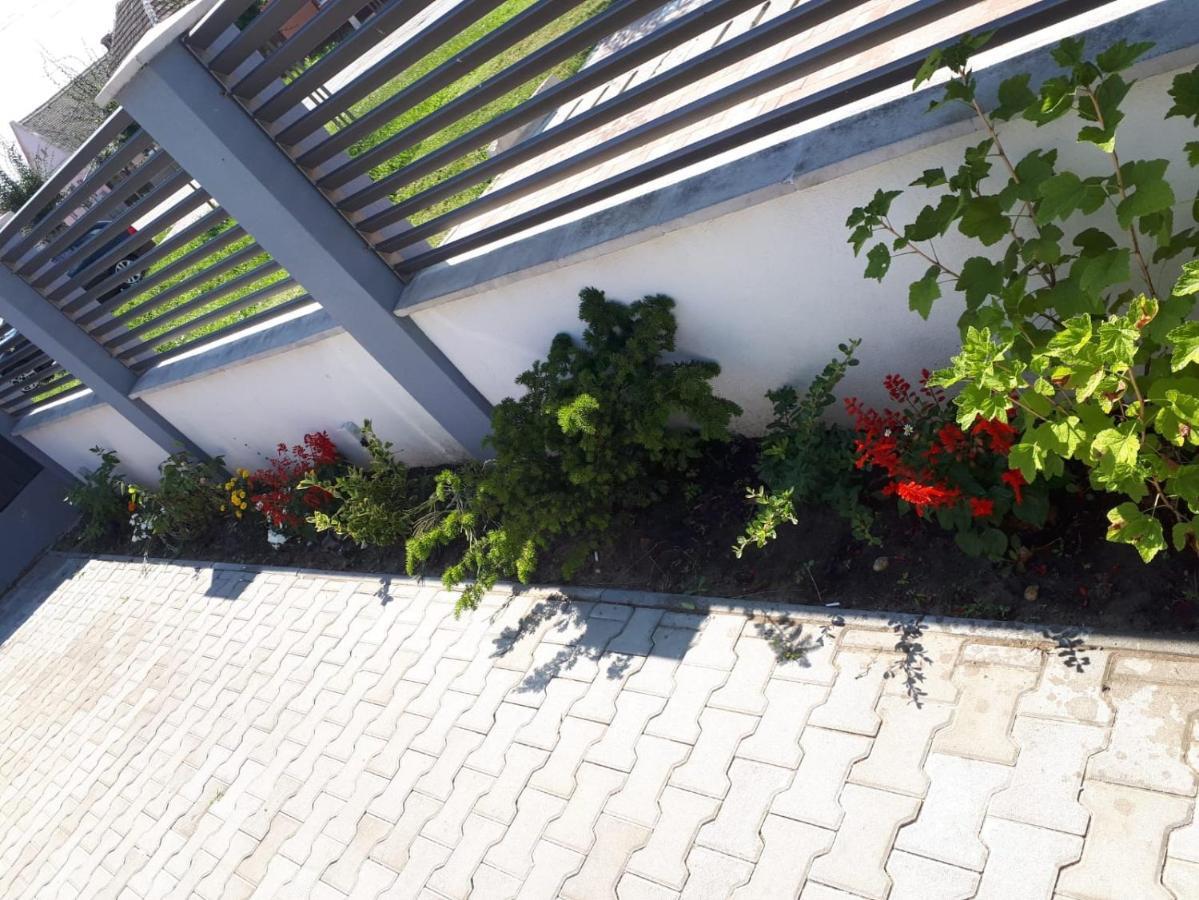 Apartament Saguna Sînnicolau Mare 外观 照片